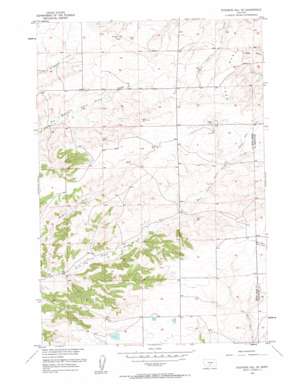 Stephens Hill NE USGS topographic map 45109h5