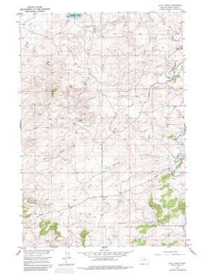 Ryan Creek USGS topographic map 45109h7