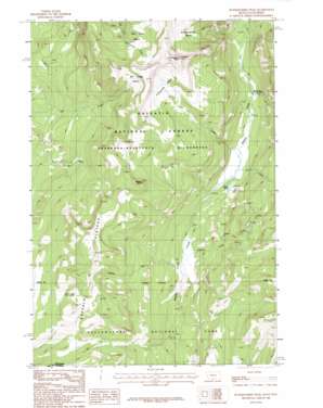 Hummingbird Peak USGS topographic map 45110a3