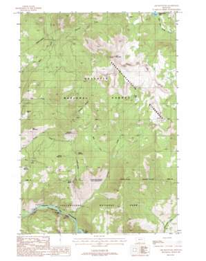 Ash Mountain USGS topographic map 45110a5