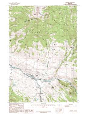 Gardiner USGS topographic map 45110a6