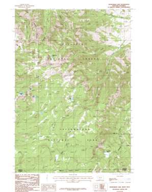 Sportsman Lake USGS topographic map 45110a8
