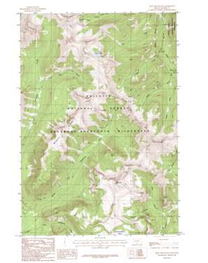 Iron Mountain USGS topographic map 45110b3