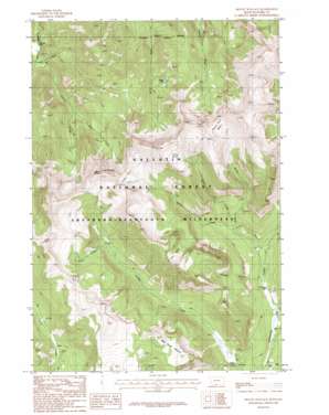 Mount Wallace topo map