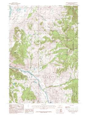 Dome Mountain USGS topographic map 45110b7