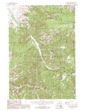 Knowles Peak USGS topographic map 45110c5