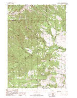Lewis Creek USGS topographic map 45110c8