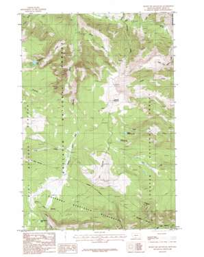 Picket Pin Mountain topo map