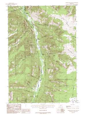 Chrome Mountain USGS topographic map 45110d2