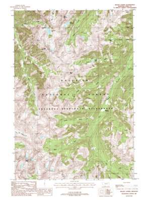 Mount Cowen USGS topographic map 45110d4