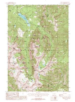 Fridley Peak USGS topographic map 45110d8