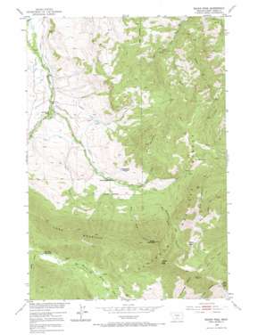 Squaw Peak USGS topographic map 45110e1