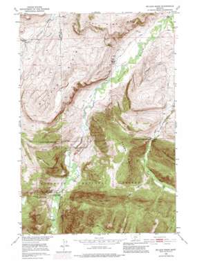 McLeod Basin USGS topographic map 45110e2