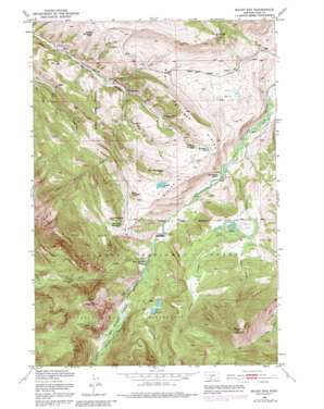 Mount Rae topo map