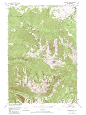 Livingston Peak USGS topographic map 45110e4
