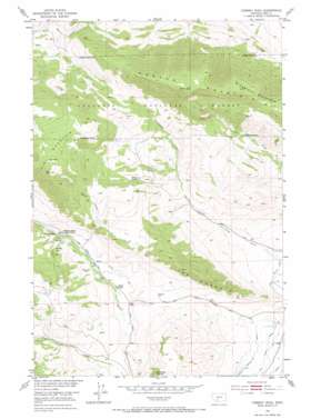 Chimney Rock USGS topographic map 45110e6