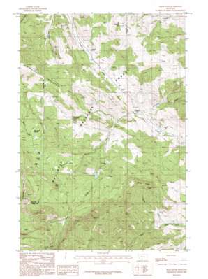 Bald Knob USGS topographic map 45110e7