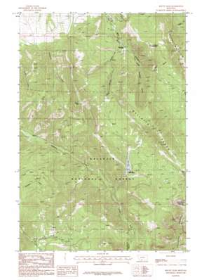 Mount Ellis USGS topographic map 45110e8