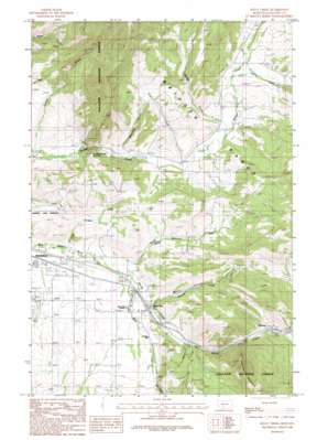 Kelly Creek USGS topographic map 45110f8