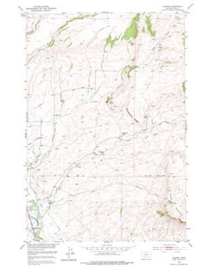 Grannis USGS topographic map 45110g4