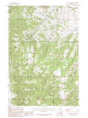 Grassy Mountain USGS topographic map 45110g7
