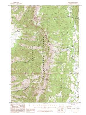 Saddle Peak USGS topographic map 45110g8