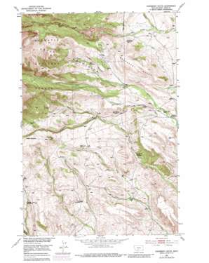 Raspberry Butte topo map