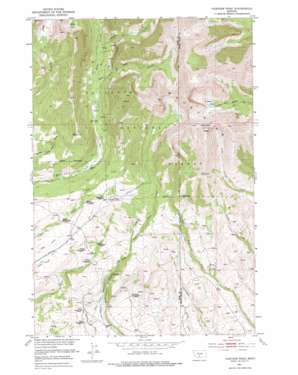 Fairview Peak USGS topographic map 45110h3