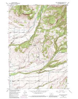 Ibex Mountain USGS topographic map 45110h4