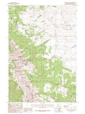 Sacagawea Peak topo map