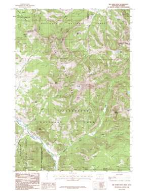 Big Horn Peak USGS topographic map 45111a1