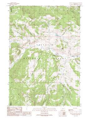 Lincoln Mountain topo map