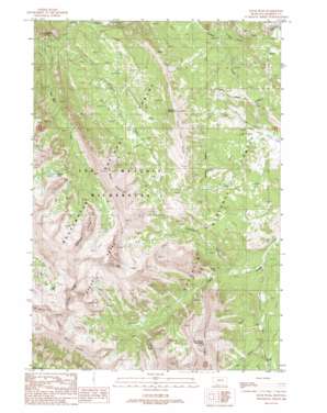 Koch Peak USGS topographic map 45111a4