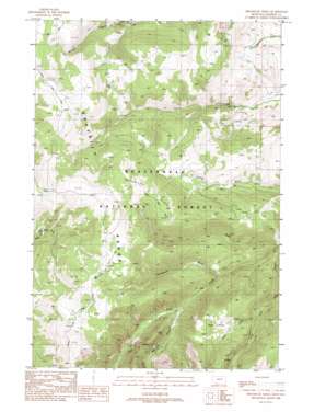 Broomtail Ridge USGS topographic map 45111a7