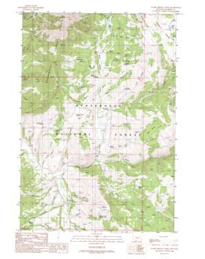 Warm Springs Creek USGS topographic map 45111a8