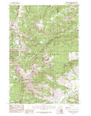 Ramshorn Peak USGS topographic map 45111b1