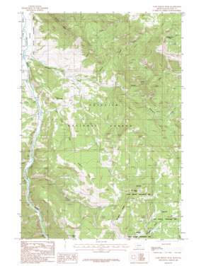 Ramshorn Peak USGS topographic map 45111b2