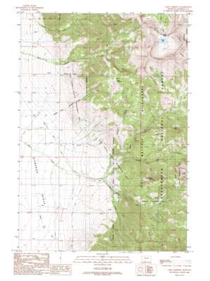 Lake Cameron USGS topographic map 45111b5