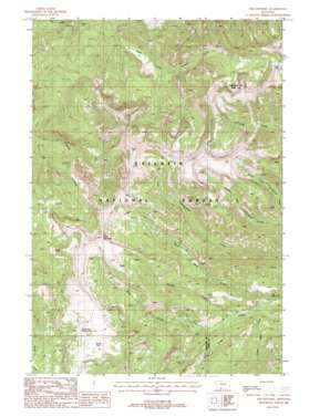 The Sentinel USGS topographic map 45111c1