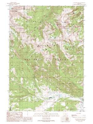 Gallatin Peak topo map