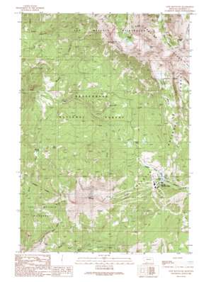Lone Mountain USGS topographic map 45111c4