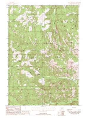 Mount Blackmore USGS topographic map 45111d1