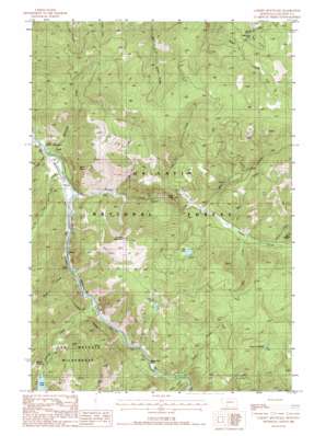 Garnet Mountain topo map