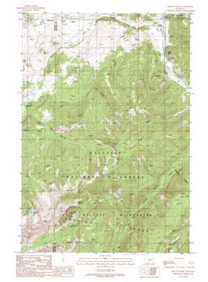 Beacon Point USGS topographic map 45111d3