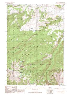 Willow Swamp topo map
