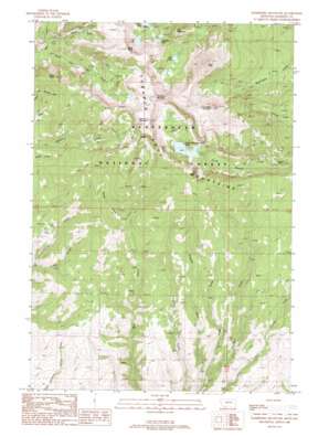 Ramshorn Mountain USGS topographic map 45111d8