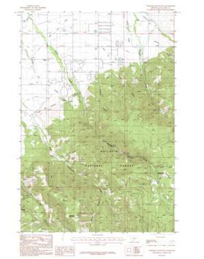 Wheeler Mountain USGS topographic map 45111e1