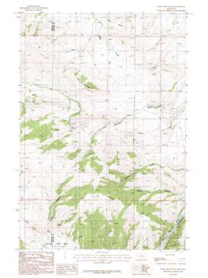 Gallatin Gateway USGS topographic map 45111e3