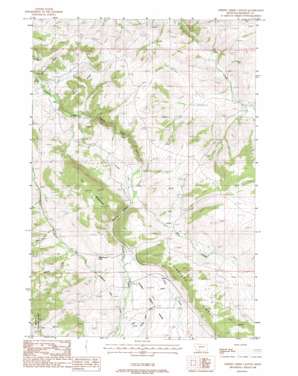 Cherry Creek Canyon USGS topographic map 45111e4