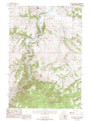 Bear Trap Creek USGS topographic map 45111e5